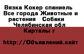 Вязка Кокер спаниель - Все города Животные и растения » Собаки   . Челябинская обл.,Карталы г.